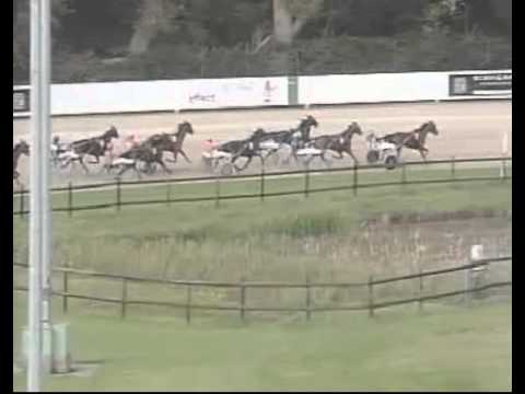 Deutsches Traber St. Leger - Lobell Countess