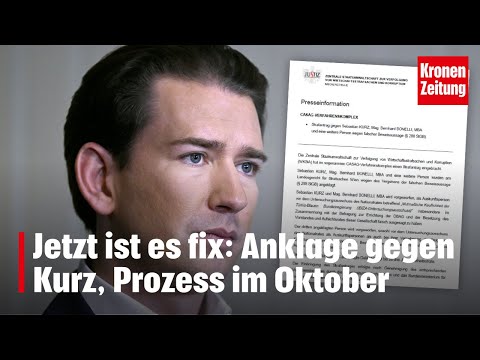Wegen Falschaussage: Ex-Kanzler Kurz muss vor Gericht | krone.tv NEWS