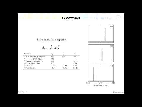 dDNP training 2023 - Part 3 (DNP Mechanisms part1)