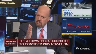 If you're shorting Tesla, you're shorting the honey badger, says Cramer