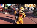 Best Pluto Walt Disney World Character Meet Ever Balance Chase From Paw Patrol On Plutos Nose