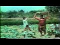 EK CHHORI GUAV KI GORI PANGHAT HARYANVI MOVIE ACTRESS USHA PANDIT MP4