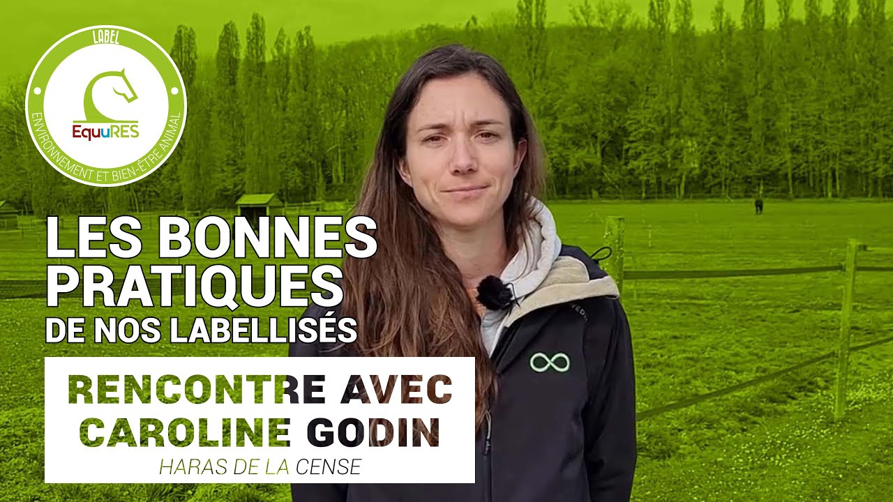 Interview de Caroline Godin, Responsable des formations au Haras de la Cense