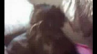 LOVECATS - video to The Cure song