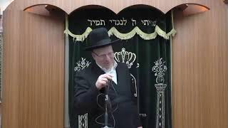 הרב ליאור גלזר מוסר על הרב חיים קניבסקי זצ"ל פר' שמיני תשפ"ב רב מקדים הרב  משה קינן והרב שמעון מועלם