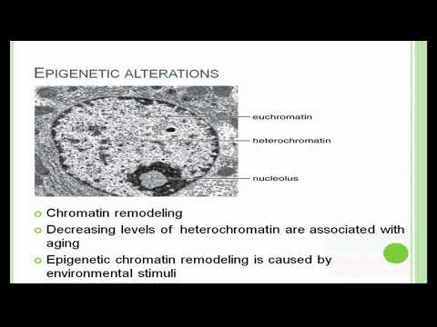 Epigenetic Alterations and Loss of Proteostasis