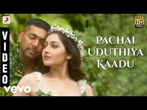 pachai uduthiya kaadu song lyrics Thumbnail
