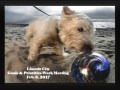 2017-02-06 - City Council - Workshop - Lincoln City, OR