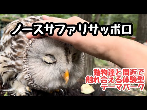 インフルエンサーのことは忘れてください。動物たちは長い間権力を握ってきました