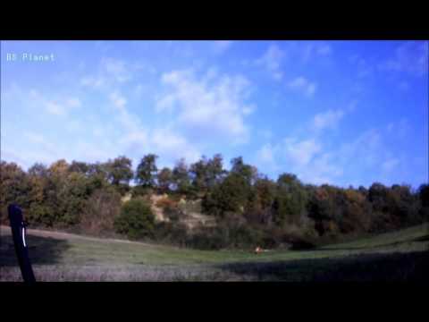 Caccia Cinghiale 2015 2016