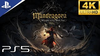 Vidéo Mandragora Whispers of the Witch Tree - Collector's Edition