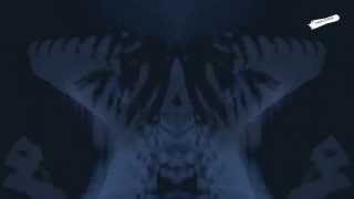 Severed Heads »Here comes your fire«