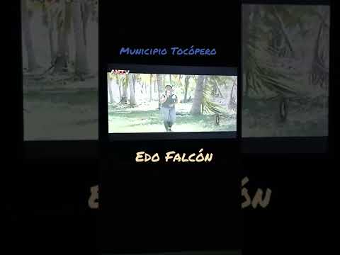 Producción de Cocos en el Municipio Tocópero, Edo Falcón.