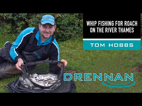 Whip fishing for Roach on the River Thames.