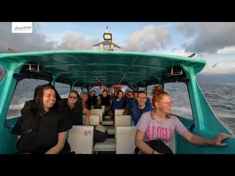 Sfeerimpressie (film)