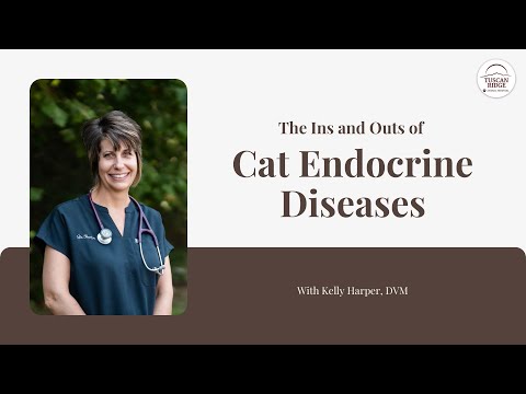 The Ins and Outs of Cat Endocrine Diseases with Kelly Harper, DVM