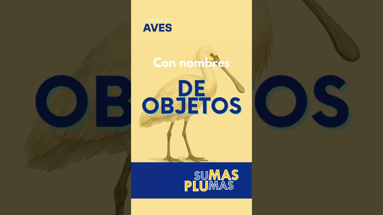 Nombres de objetos
