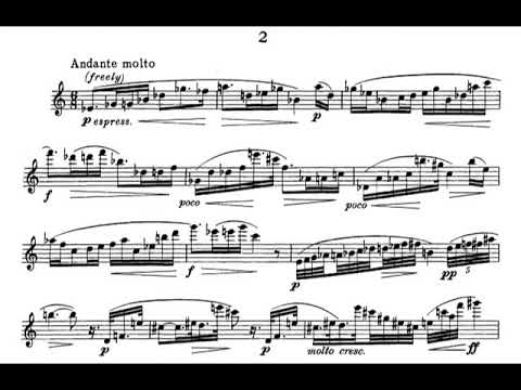 Robert Muczynski - Three Preludes for Flute, Op. 18 (1962) [Score-Video]