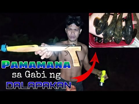 Pamamana sa Gabi ng Isdang Dalapakan | Night Spearfishing | Catch and Cook