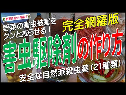 キャベツガと自然に戦う方法は？簡単な手段で感染を防ぐことはできるのでしょうか？  庭園