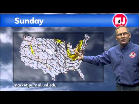 November 20, 2015 Weather Forecast