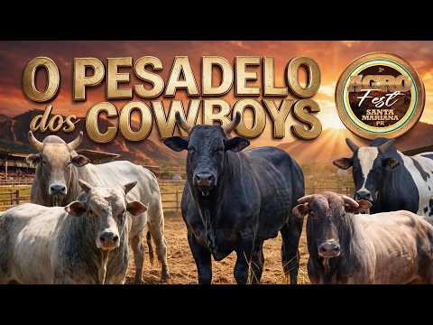 O PESADELO dos COWBOYS #1 - Rodeio de SANTA MARIANA 2026