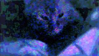 Closer - Cory Branan