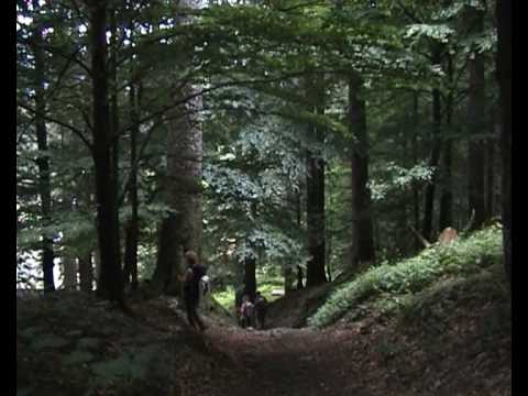 GRUPPO TREKKING TRIPETETOLO, CAMALDOLI