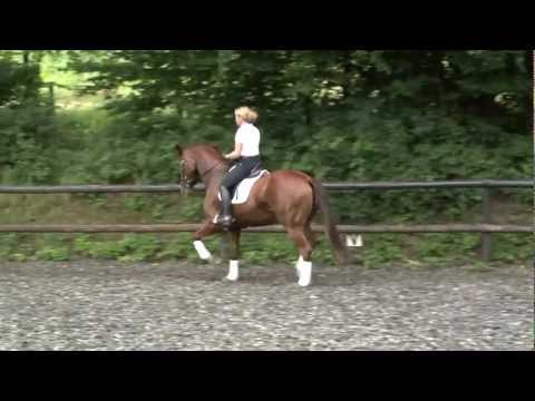 St.Pr.St. von Ehrenstolz - Weltmeyer