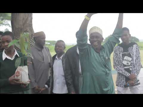 Birthday Tree Planting Project