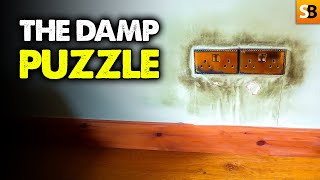 Why Your Damp Problem Isn't What You Think It Is