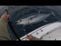 You'll *NEVER* see this on WICKED TUNA | Real Commercial Bluefin