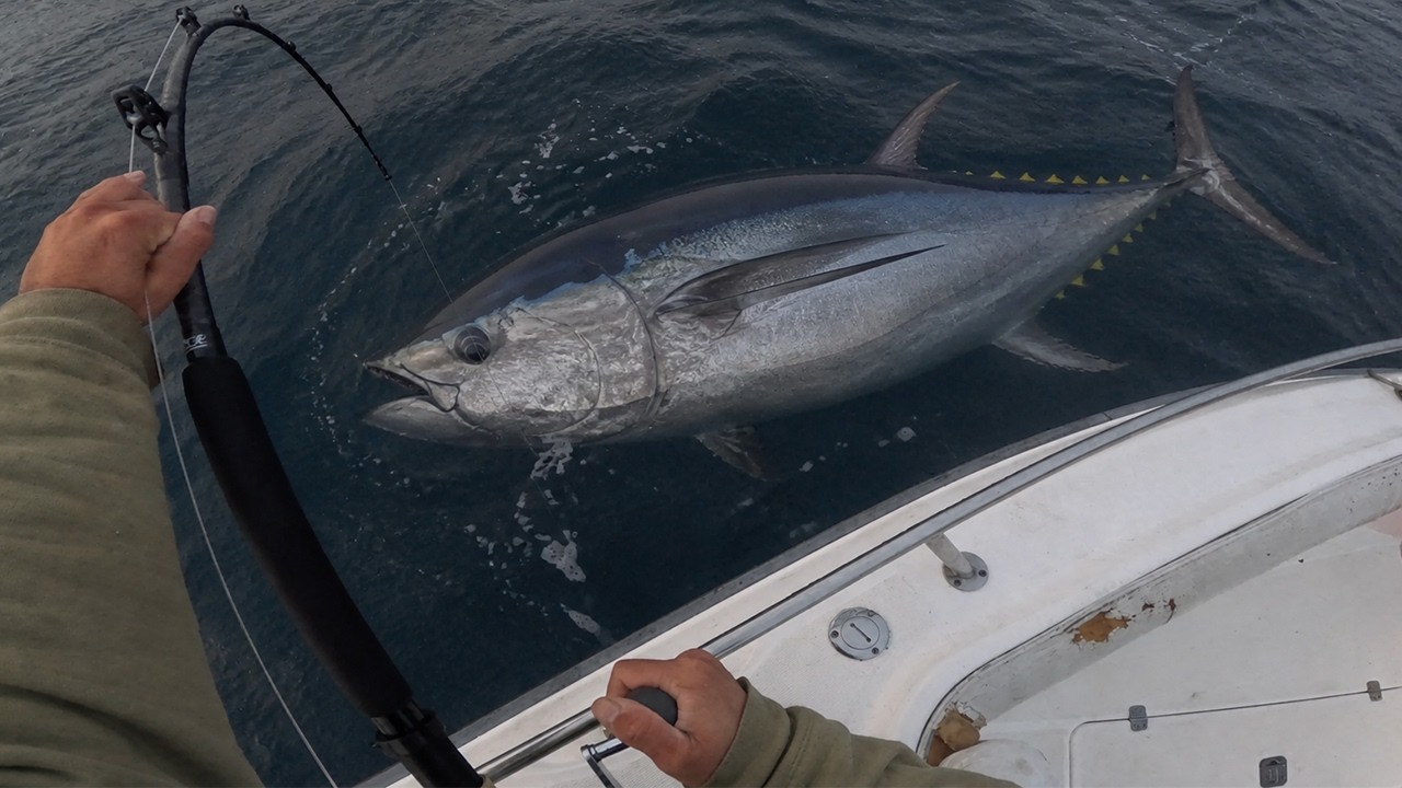 You'll *NEVER* see this on WICKED TUNA | Real Commercial Bluefin