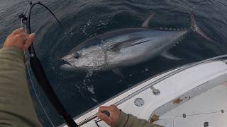You'll *NEVER* see this on WICKED TUNA | Real Commercial Bluefin
