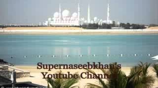 Sheikh Abdul Wali Al Arkani - Surah Ar Rehman - YouTube.flv