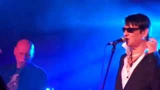 Kosa tango - Maciej Maleńczuk - Wrocław 22.05.2015