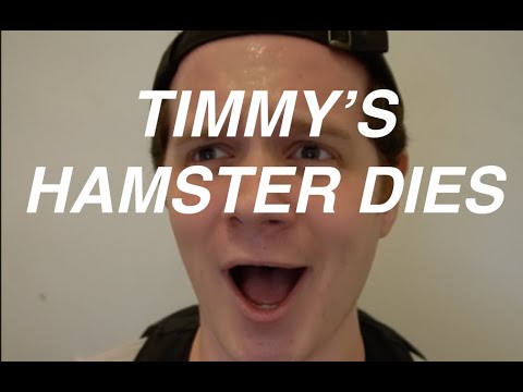 timmy's hamster dies