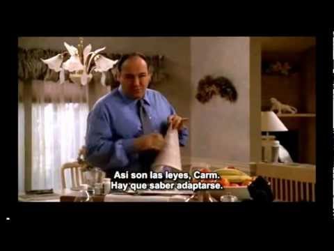 The Sopranos - Tony Soprano says "Float like a butterfly, sting like a bee".