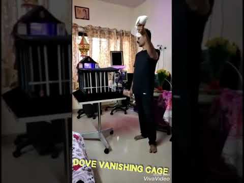 4 DOVE/4 PIGEONS  VANISHING CAGE  👉👉CUSTOMER REVIEW