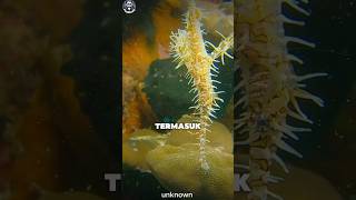 Download lagu Ikan kok mirip rumput #shortvideo #ikan  #youtubeshorts mp3 Download lagu Ikan kok mirip rumput #shortvideo #ikan  #youtubeshorts mp3