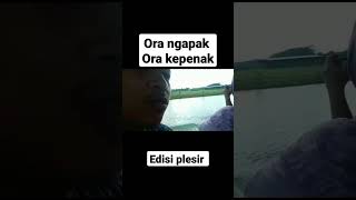 Download lagu viral ! wong ngapak plesir #short #shortvideo #memes #fyp #lucu #ngapak #education #comedy #best #up mp3