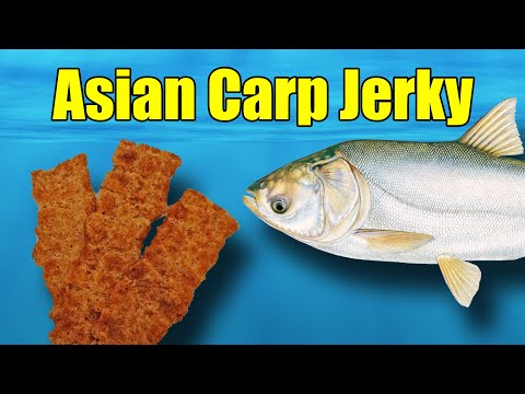 Fish Jerky – Made with Asian Carp!