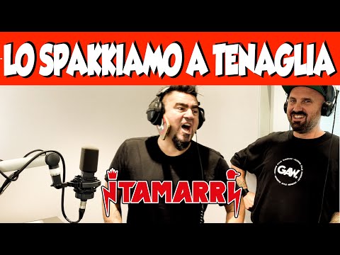 THE TAMARRI - WE'LL SPLIT IT WITH A PLUNGER