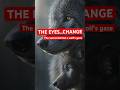 Why Wolf Eyes Turn Gold | Nature’s Halloween Secret