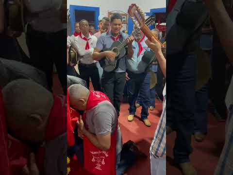 Folia da fazenda diamante em Águas lindas de Goiás.