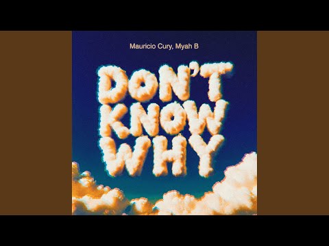 Don't Know Why (Remix)
