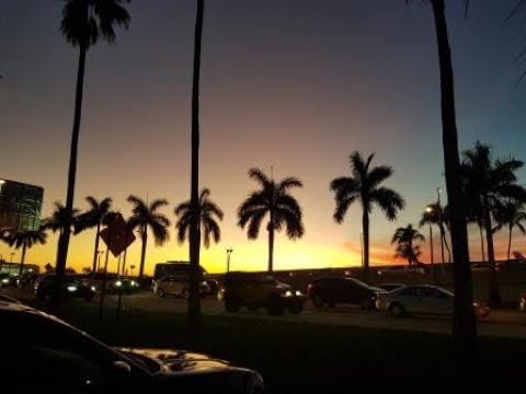 MSC Divina Karibik Kreuzfahrt 2020