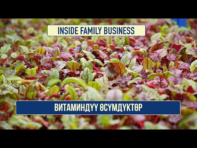 Витаминдүү өсүмдүктөр