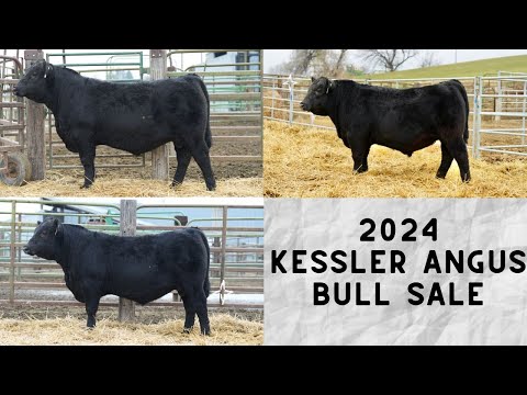 7 | Kesslers Impulse L121