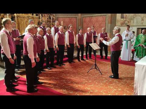 Carinthia Chor Millstatt mit betörend schönem geistlichen Summen